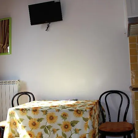 Apartment Max