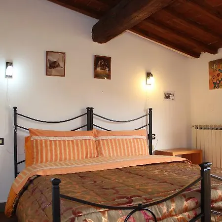Max Apartment